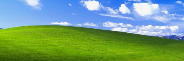 osrsdog's profile banner image