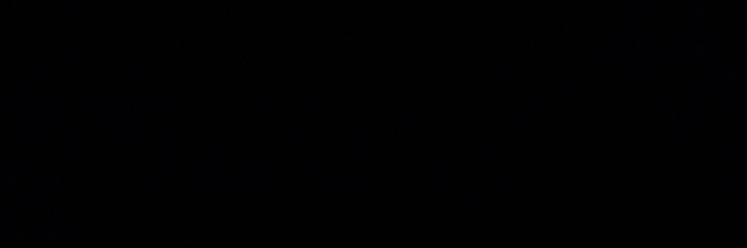 brudits's profile banner image