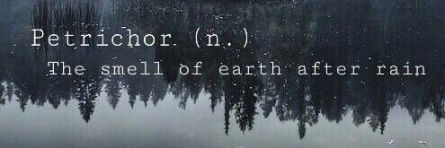 Baan_S's profile banner image