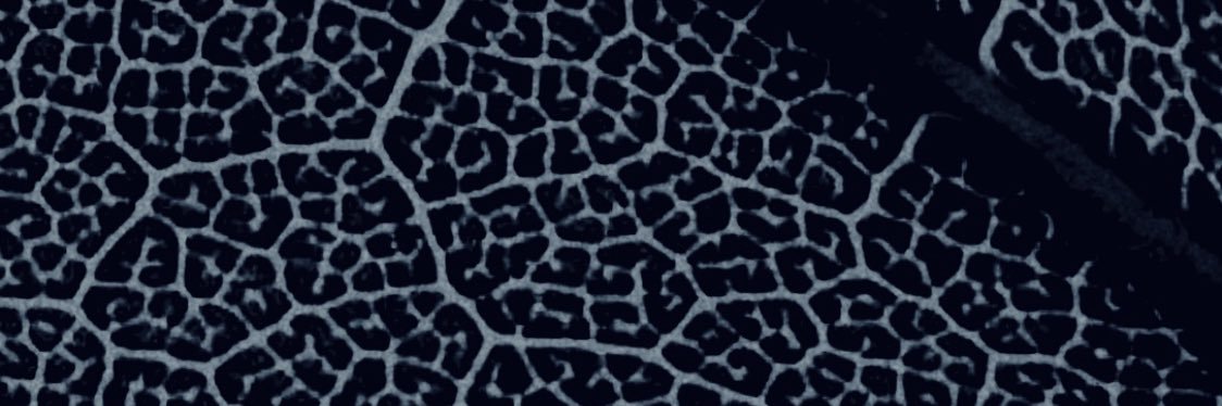 ThtManCam's profile banner image