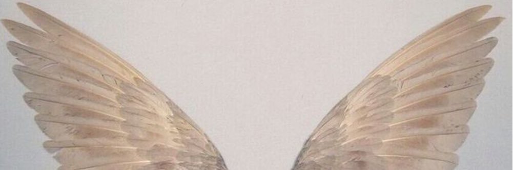 the_hoffDADDY's profile banner image