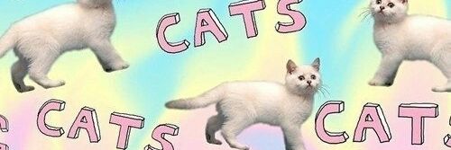 EdSheeto's profile banner image