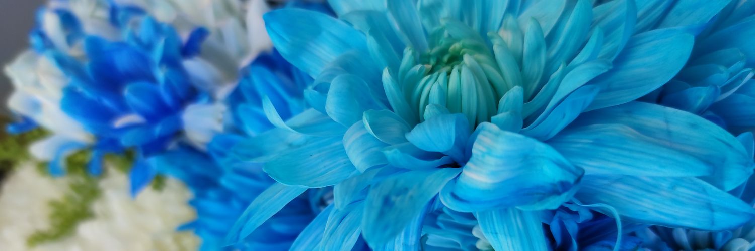 bybysdf's profile banner image