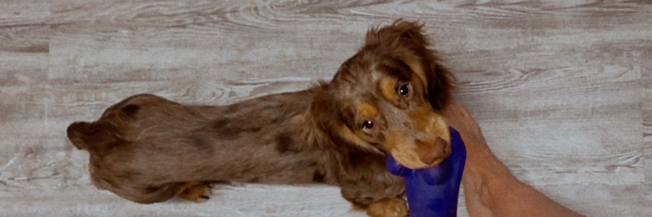 kylie_flatt's profile banner image