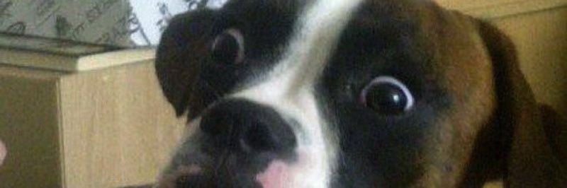 dvilon's profile banner image