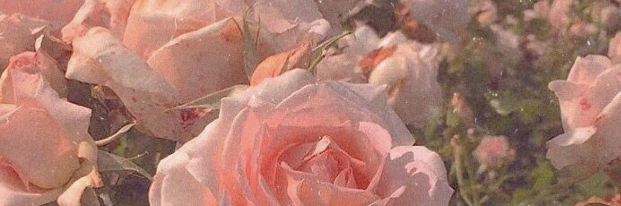 _tieshamarie's profile banner image