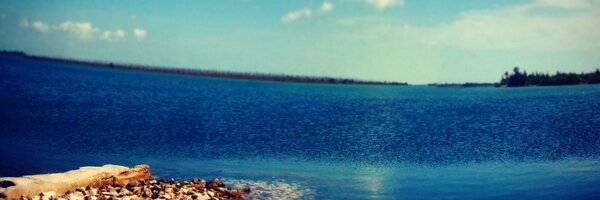 R3aL_3D Profile Banner