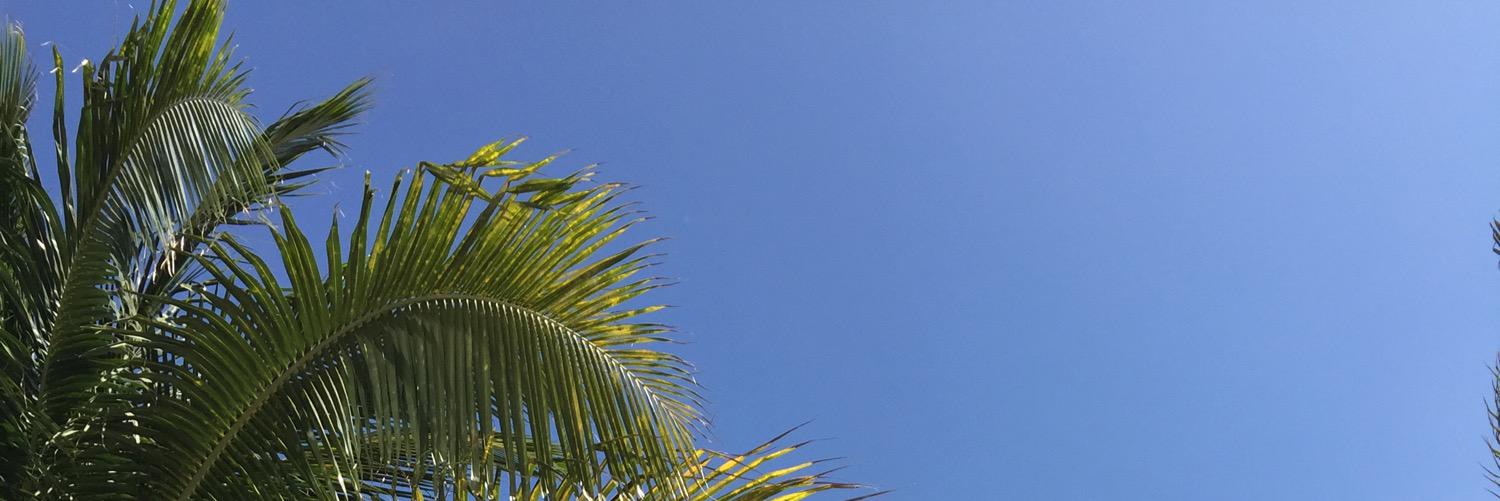 Tonetonebern's profile banner image
