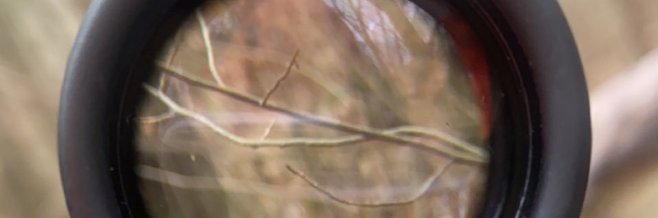 JMoser_14's profile banner image