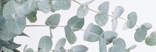 danielleledoux's profile banner image