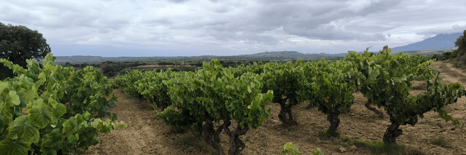 Reverendo Igor banner