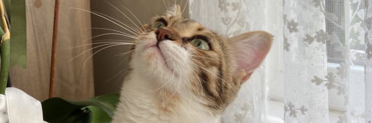 efkurr's profile banner image