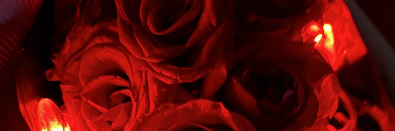 sillybri_'s profile banner image