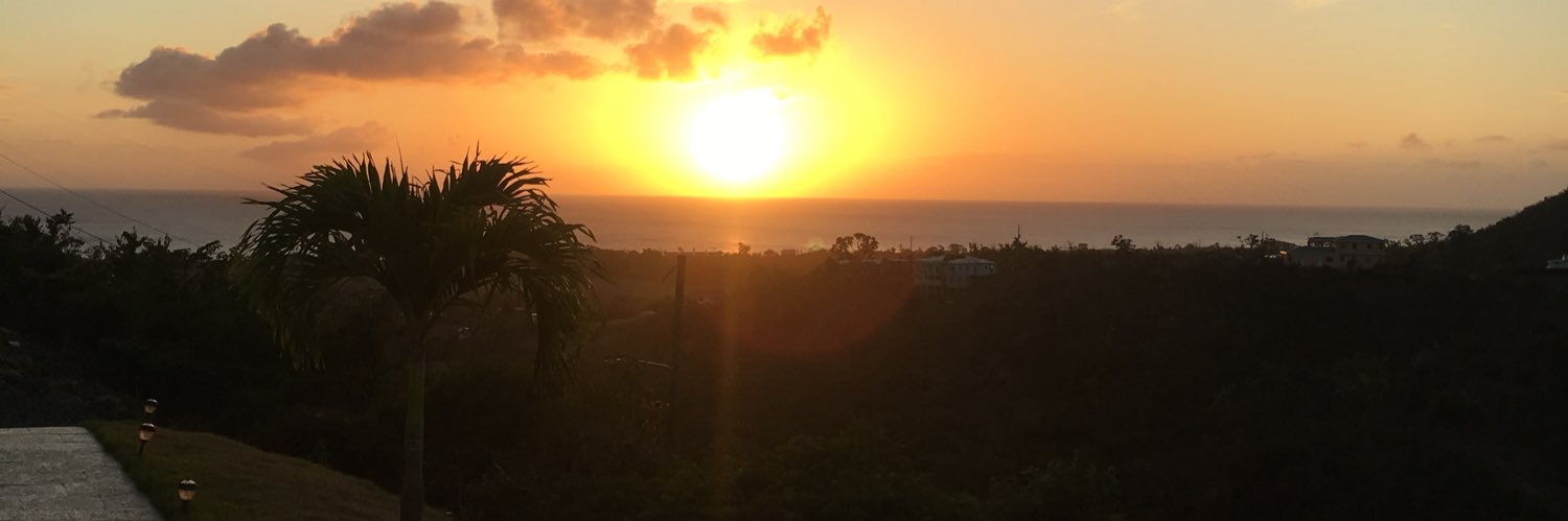 TamFlavin's profile banner image