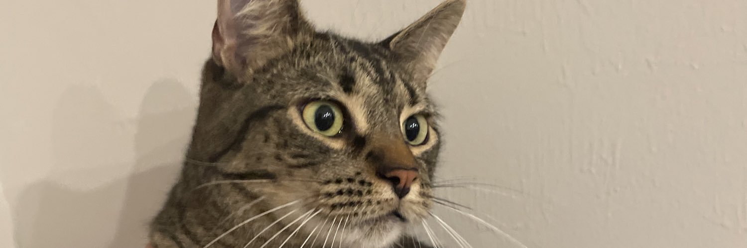 ayyyyman's profile banner image