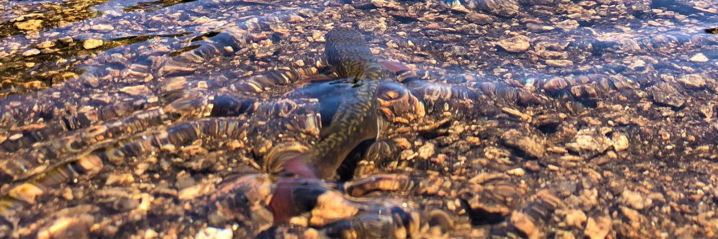 CastingAcross banner