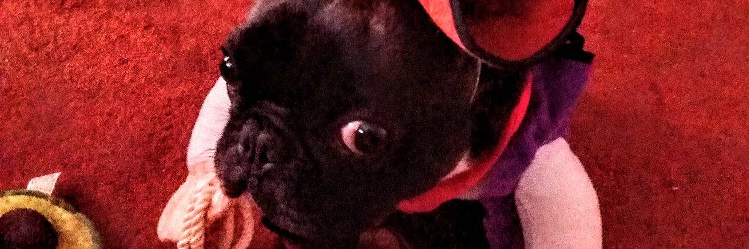 Jjelly6's profile banner image