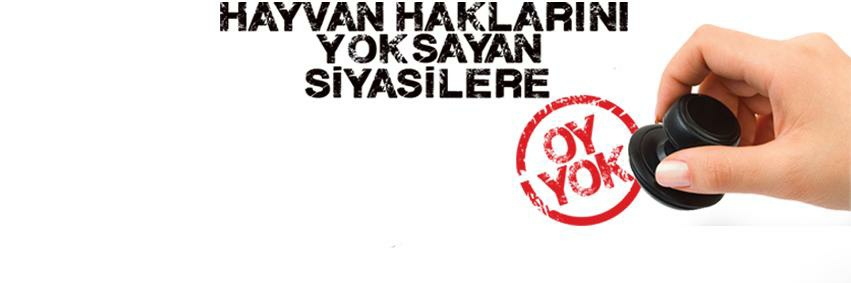 Vildan elçin Şenkaya banner