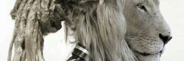 veromoret's profile banner image