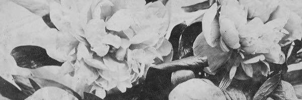 _stormeemae's profile banner image