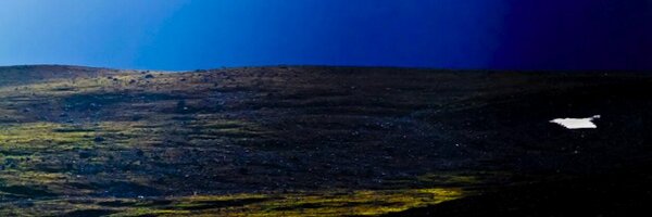 dburgas Profile Banner