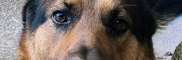 _Rafasnts's profile banner image