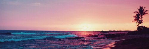 watermaui's profile banner image