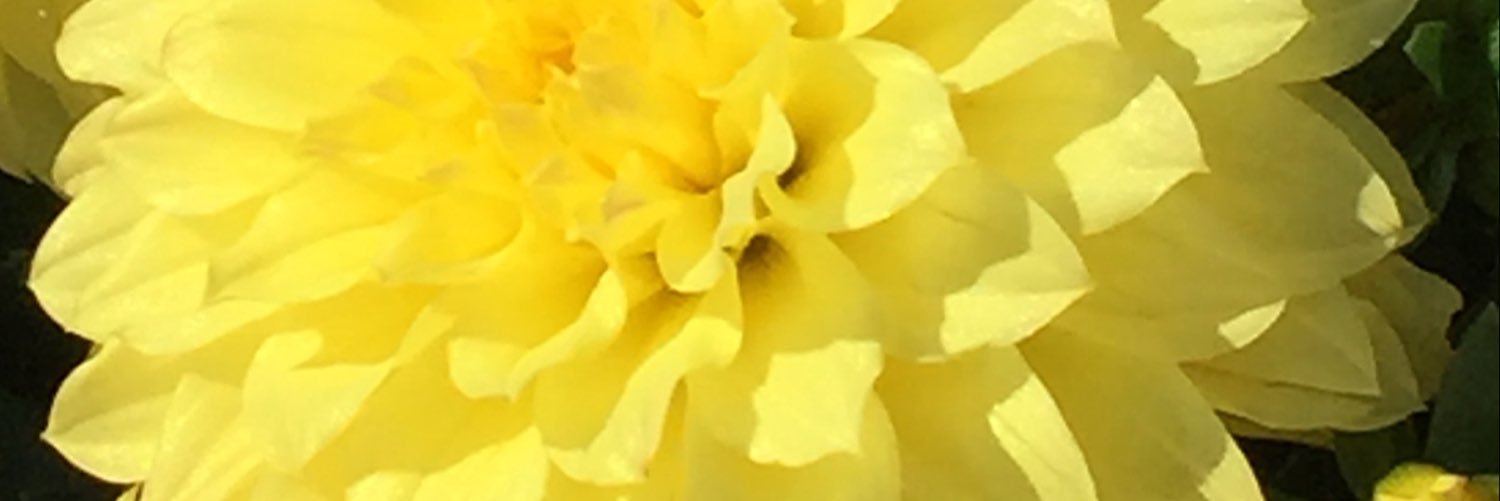 NikkiNebraska06's profile banner image