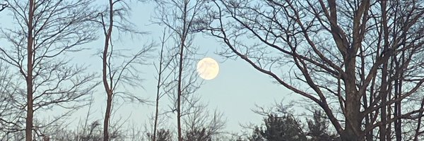 TheOrphanAdam Profile Banner