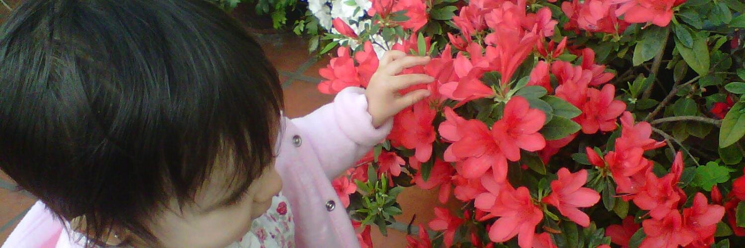 Ale_Migliore's profile banner image