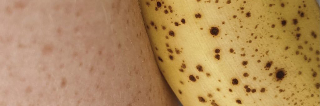 rachok olexandra • banner