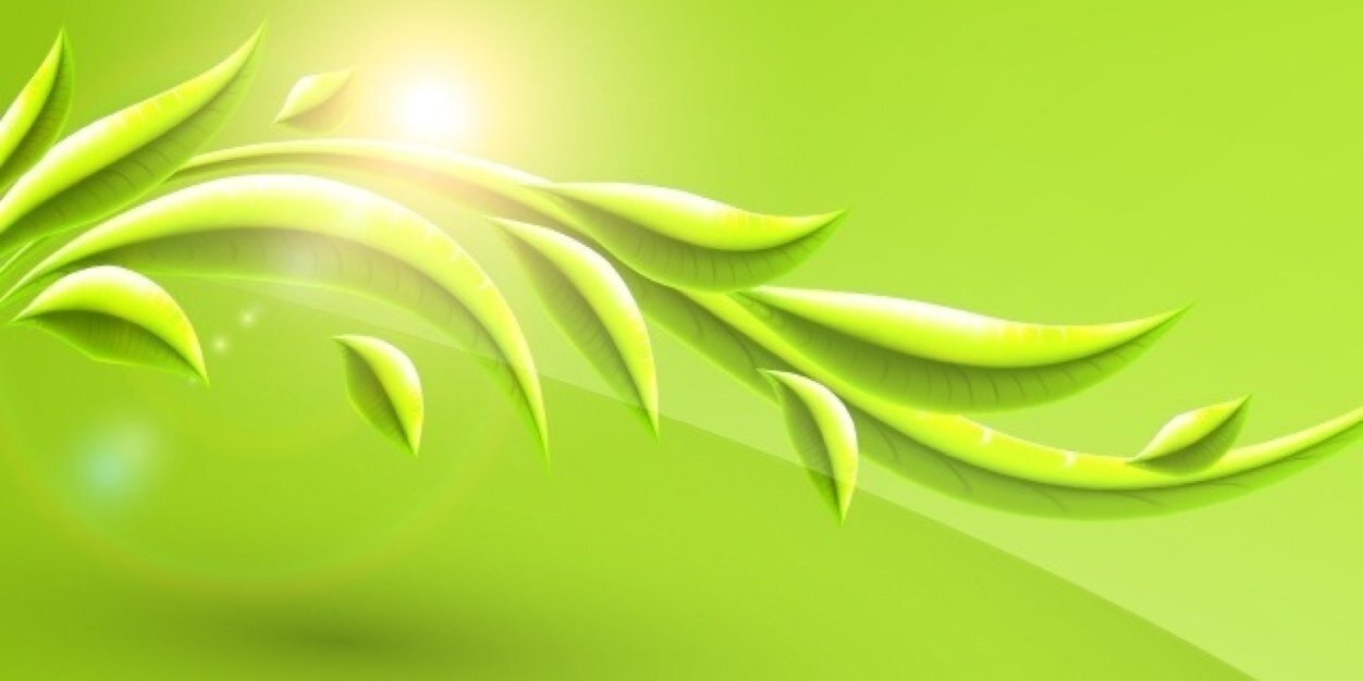KristaDunstan's profile banner image