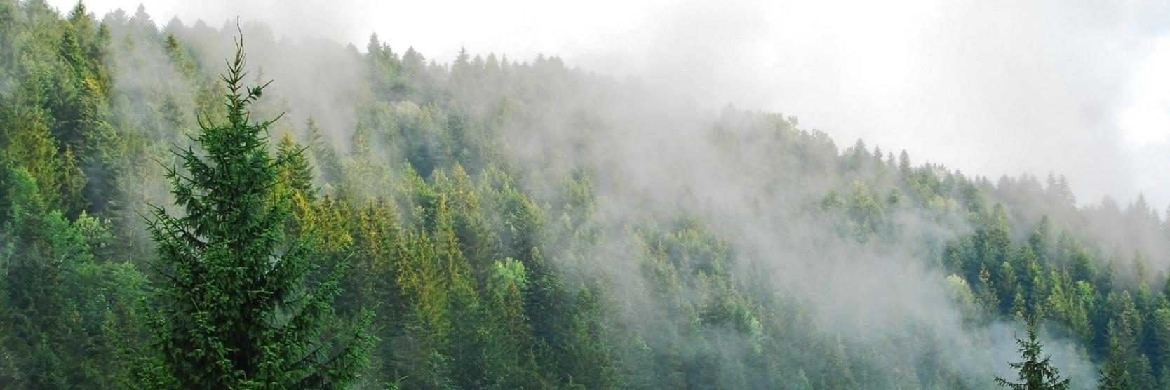 OhioOffroad's profile banner image