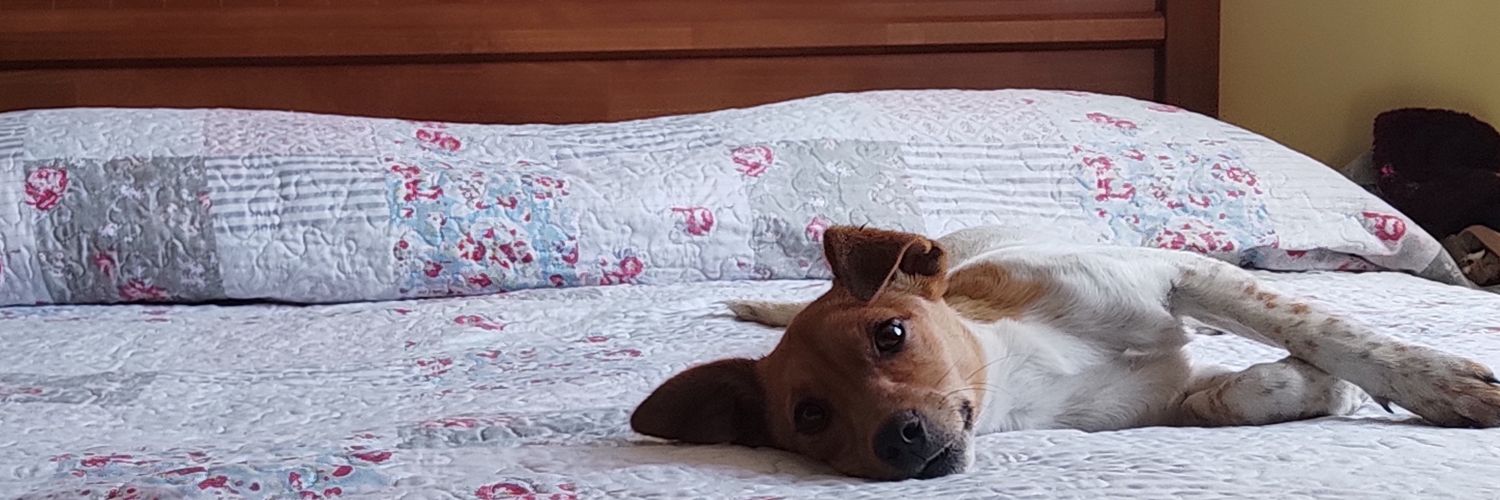 El_forastero_'s profile banner image