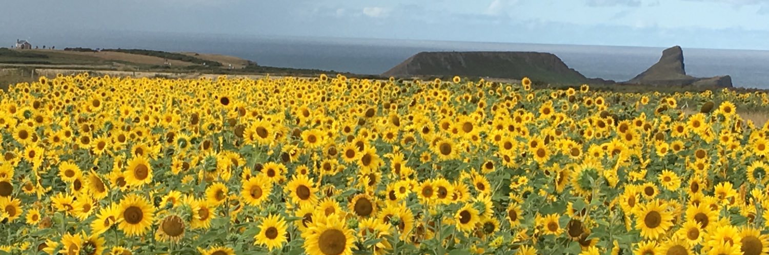 Tomomrs's profile banner image
