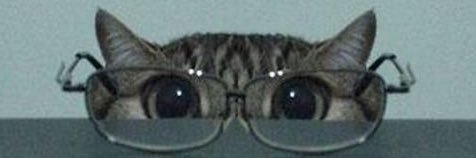 L0rdAltair's profile banner image