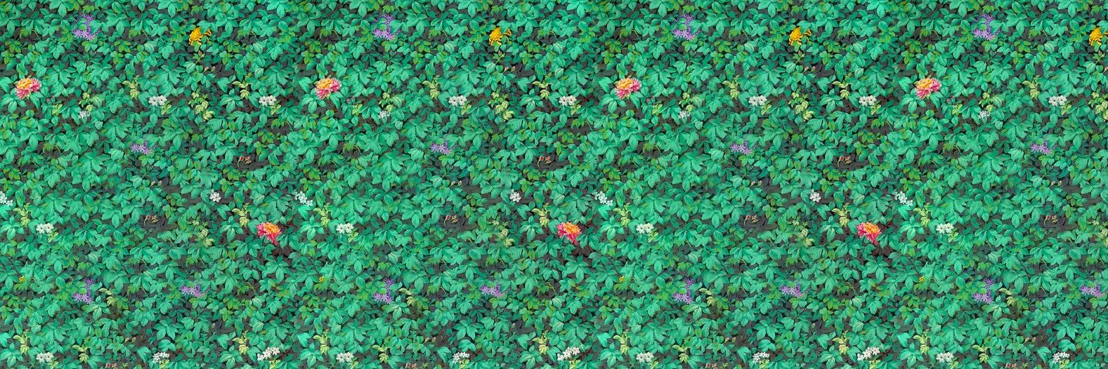 maxwhitney's profile banner image