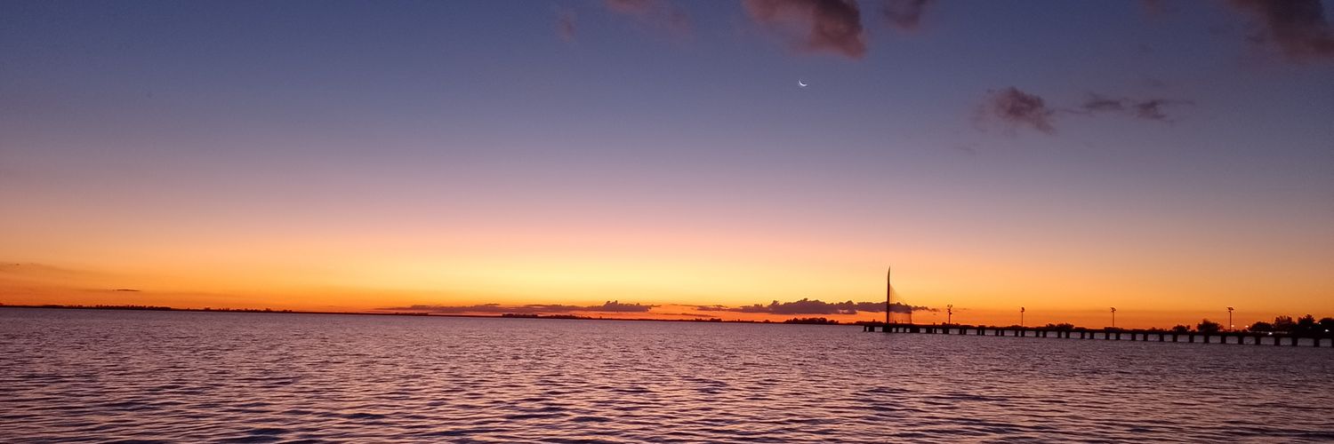 Thiago Osella banner