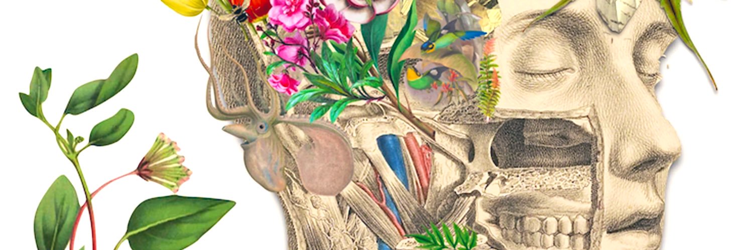 DailyPharmacist's profile banner image