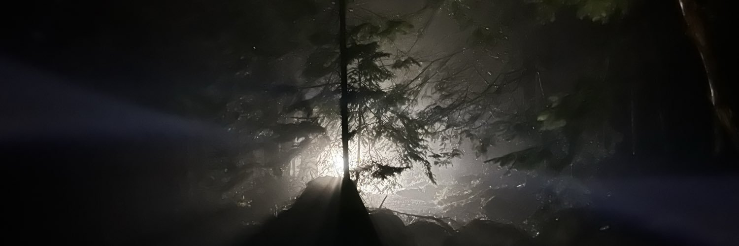 Benjamin Ferguson banner