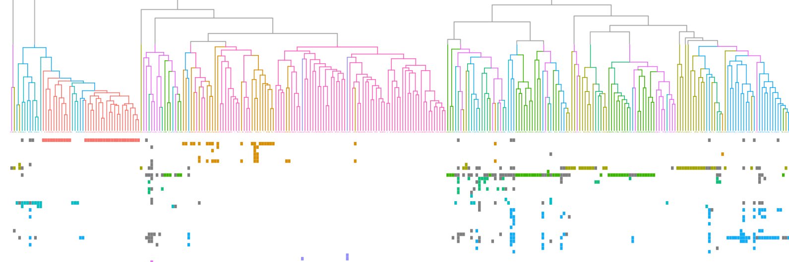 Mariana P Braga banner