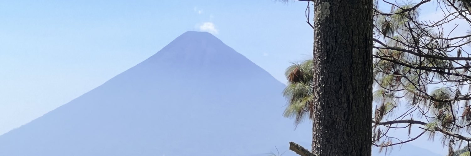 WaleskaSterkel's profile banner image