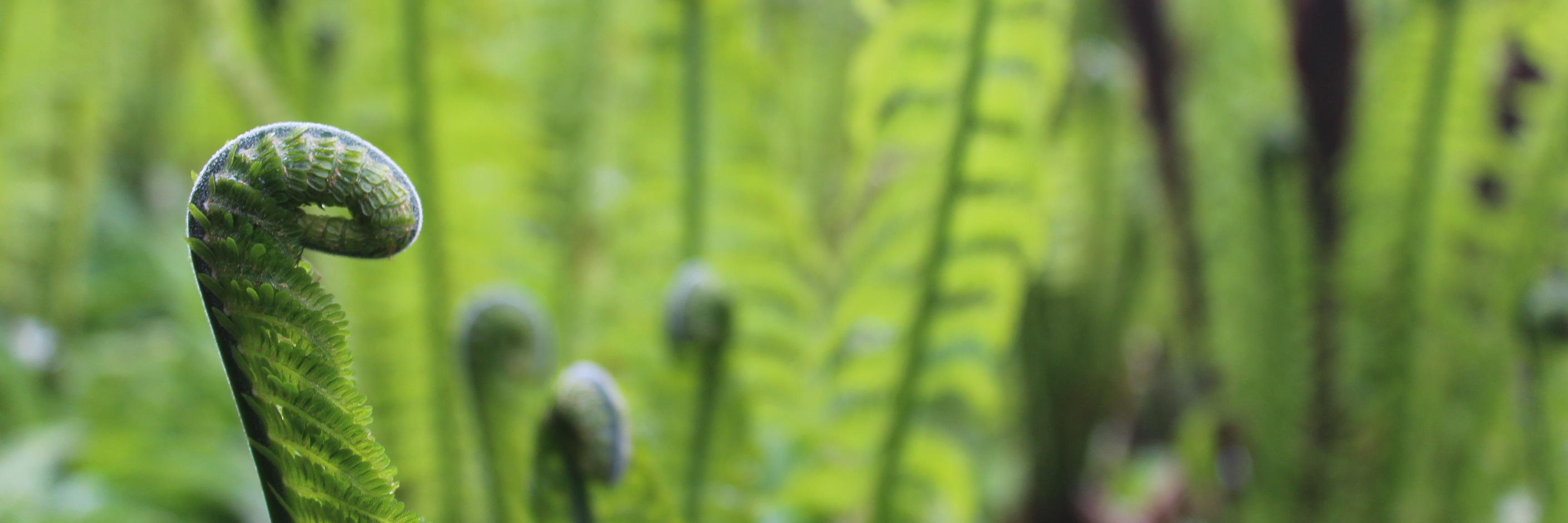 PlanetBlueHaze's profile banner image