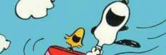 Montllo 👁️ banner