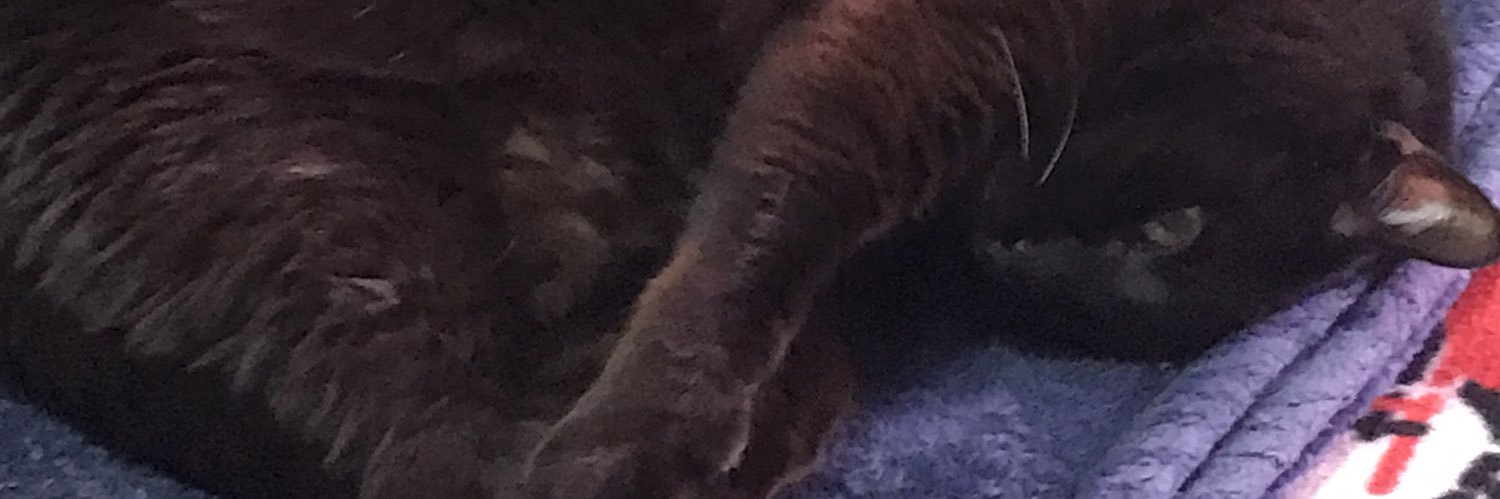 theonlyandey's profile banner image