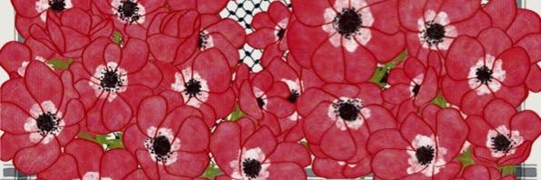 Noha Osman's banner
