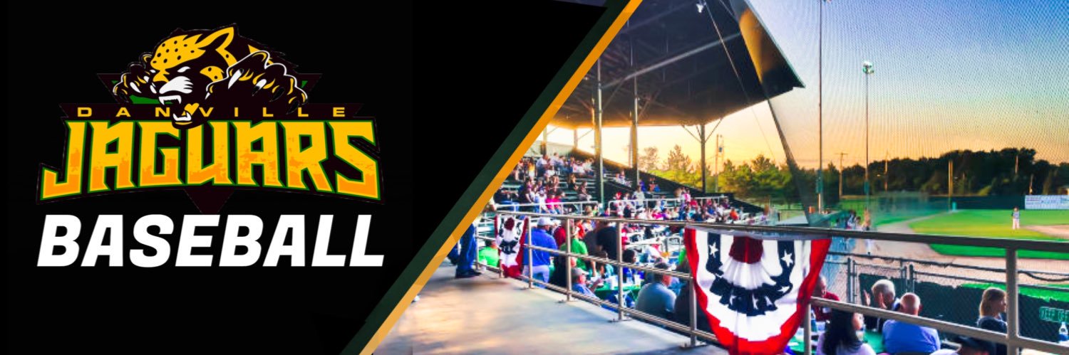 Danville Area CC Baseball banner