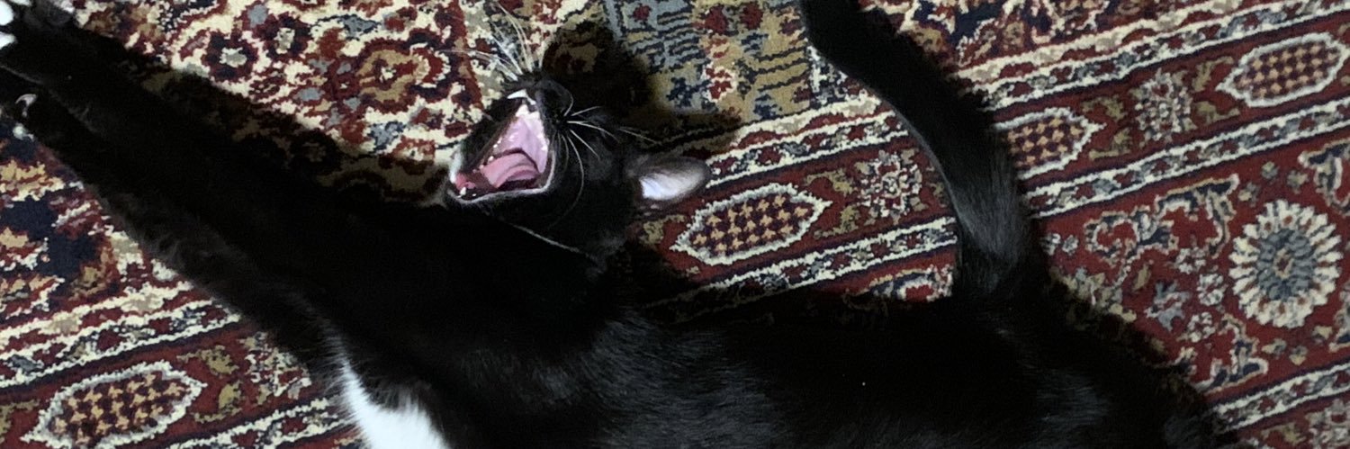tnybtch's profile banner image