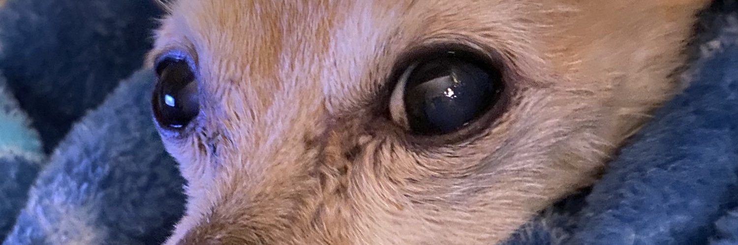Gweedo65's profile banner image