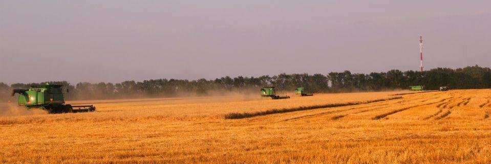 KoreyCar's profile banner image